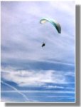 ZOOMER  Equipage Montel  Sylvie Aubert - Cristal Photo