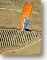 Cliquer pour ZOOMER plein écran