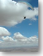 Cliquer pour ZOOMER plein écran