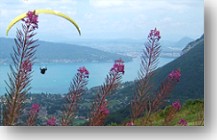 Cliquer sur la vignette pour ZOOMER - © Thalie B.